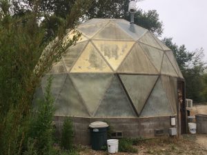  a small dome greenhouse